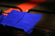 RNA_7204.jpg